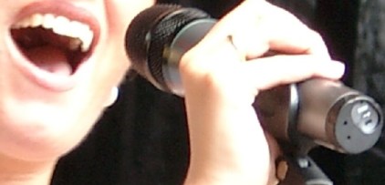 Voice Microphone